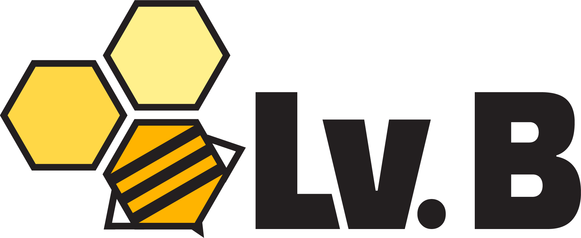Lv.B horizontal logo
